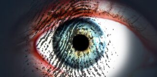 Personalizacja i rekomendacje produktów dla klientów