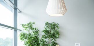 Jak się odmienia IKEA?