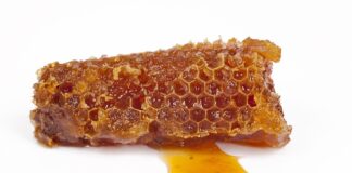 Gdzie kupić dobry propolis?