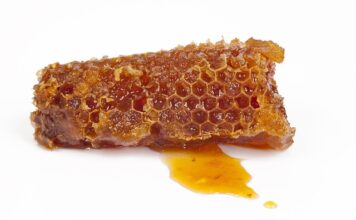 Czy propolis jest w miodzie? Czy propolis jest w miodzie?