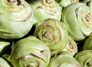 Co symbolizuje rzepa?