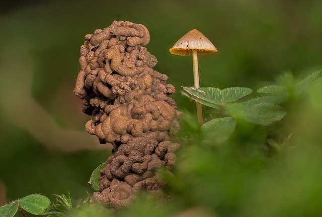 Ile robaków jest w człowieku? Ile robaków jest w człowieku?