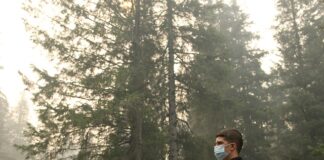 Jak oczyścić organizm z pasożytów i toksyn?