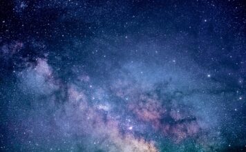 Ile kosztuje badanie na pasożyty?