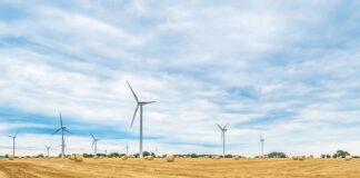 Jak dobrze się rolować?