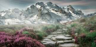 Jakie sandały w góry?