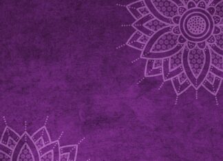 Czy policjant może odpuścić mandat? Czy policjant może odpuścić mandat?